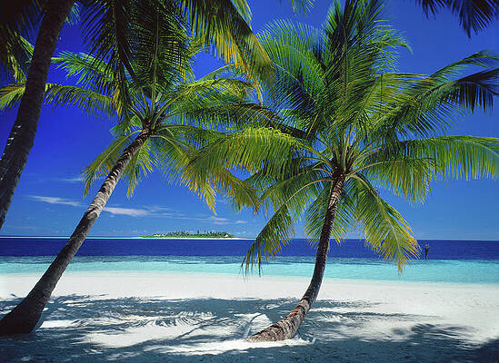 Paradise Wall Art featuring the digital art Indian Ocean, Holiday Paradise by Hans-peter Huber