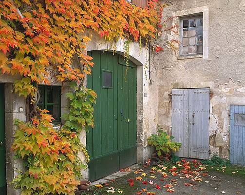 Paradise Wall Art featuring the digital art Inner Courtyard Of A Wine-growing by Hp Huber