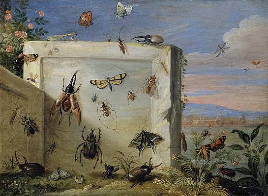 Insects Painting - Insects On A Stone Slab by Jan Van Kessel The Elder