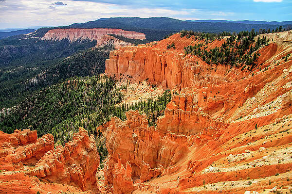 Utah Wall Art featuring the photograph Inspiration Point by Dawn Richards