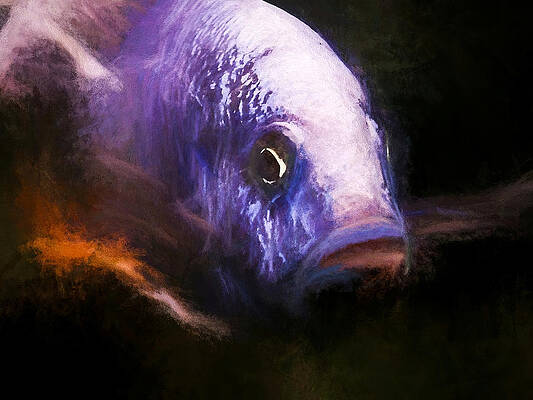 Wildlife Digital Art - Intimidating Electric Blue Ahli by Don Northup