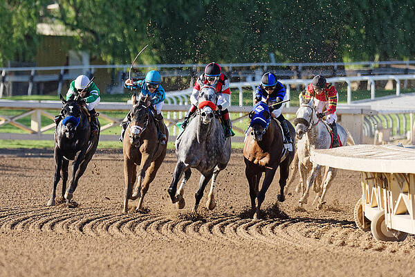Vibrant Photograph - Into The Stretch -- Race Horses At Santa Anita Park, California by Darin Volpe