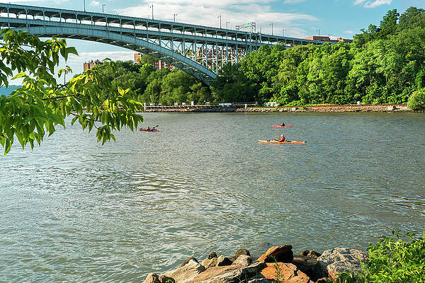 North America Wall Art featuring the digital art Inwood Hill Park, Manhattan, Nyc by Laura Zeid