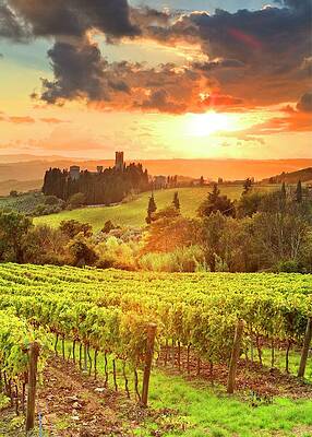 Beautiful Wall Art featuring the digital art Italy, Tuscany, Firenze District, Chianti, Tavarnelle Val Di Pesa, Badia A Passignano, Sunset by Luigi Vaccarella