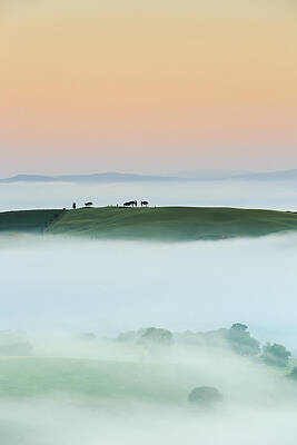 Foggy Wall Art featuring the digital art Italy, Tuscany, Siena District, Orcia Valley, Foggy Morning Near Montalcino by Maurizio Rellini