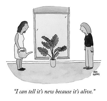 House Drawing - It's Alive by Amy Hwang