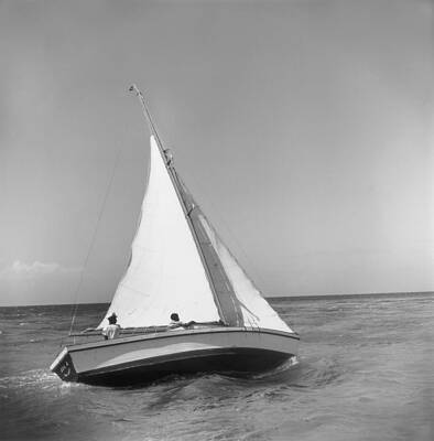 Sailboat on Open Waters Wall Art