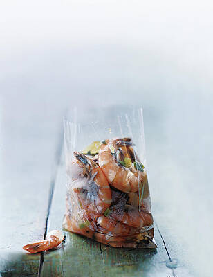 Sea Life Wall Art featuring the photograph Jamaican Hot Pepper Shrimp by Romulo Yanes