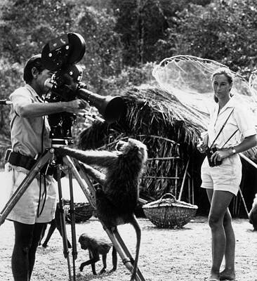 Film Crew with a Curious Baboon Wall Art