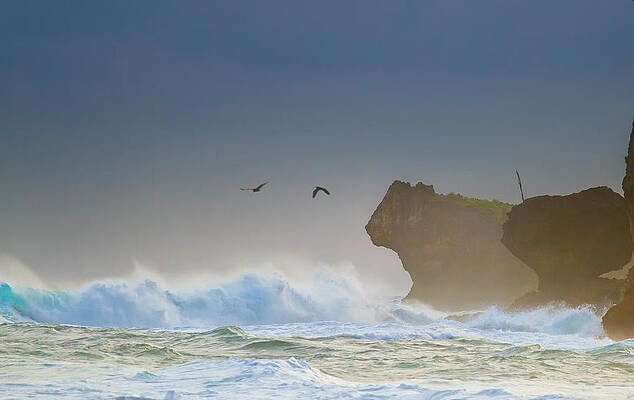 Wall Art featuring the photograph Java Indonesia - Baron Beach by Albert Photo