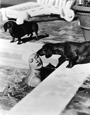 Poolside Moment with Dachshunds Wall Art