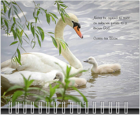 Inspirational Photograph - July Inspirational 2019 Calendar Preview by Joni Eskridge