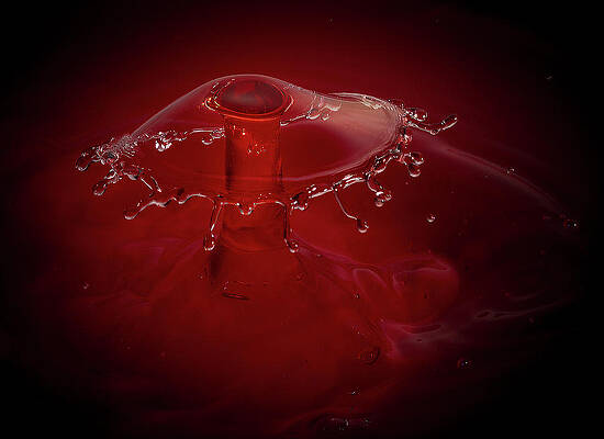 Abstract Photograph - Jumping Jello by Jean Noren