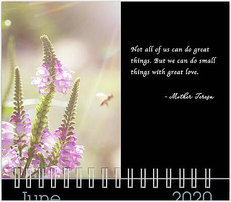Inspirational Photograph - June 2020 Inspirational Calendar Preview by Joni Eskridge