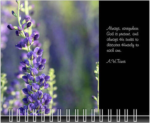 Inspirational Photograph - June Inspirational 2019 Calendar Preview by Joni Eskridge