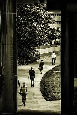 Reflection Wall Art featuring the photograph Just Another Day by Robert Grac