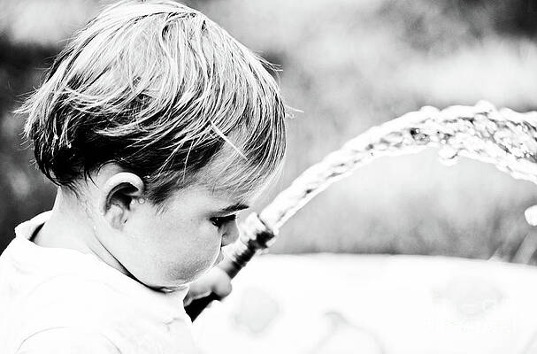 Cute Wall Art featuring the pyrography Keeping Cool by Flippin Sweet Gear