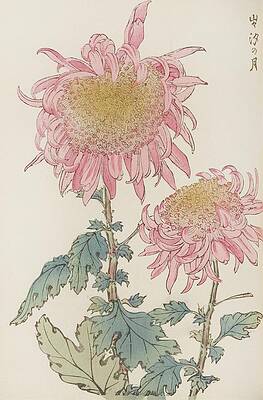 Chrysanthemums in Bloom Painting