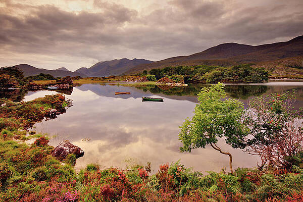 Killarney Lake at Dawn Digital Art