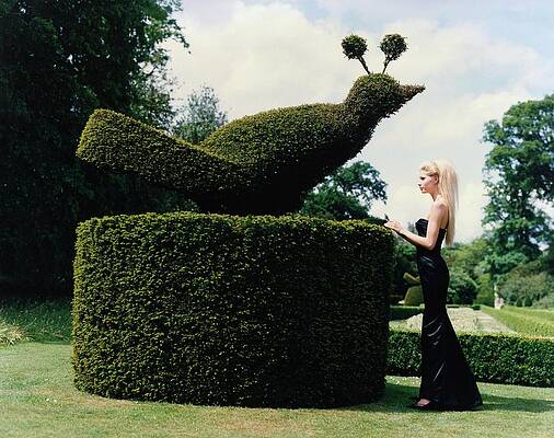 Kirsty Hume Topiary Encounter Photograph