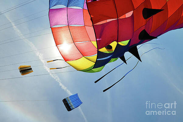 Photograph - Kite Dreams by Randall Dill