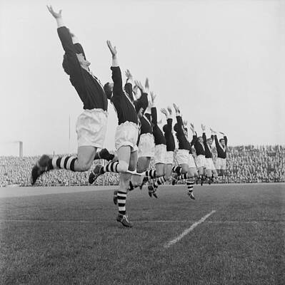 Wall Art featuring the photograph Kiwis In Action by Bert Hardy