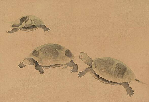 Reptile Painting - Korin Gafu, Pl.01 by Hokusai Nakamura