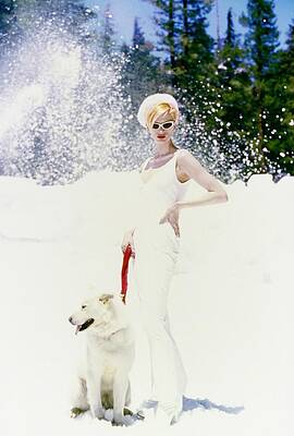 Wall Art featuring the photograph Kristen Mcmenamy With A White Dog In The Snow by Arthur Elgort