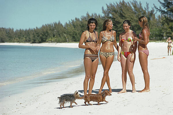 Women Enjoying Beach Day with Dogs Wall Art