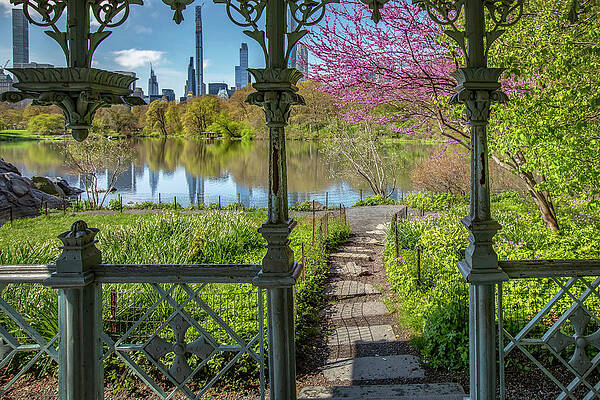 Destination Wall Art featuring the digital art Lake, Central Park, Nyc by Claudia Uripos