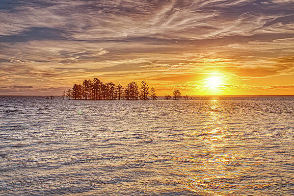 Reflection Wall Art featuring the photograph Lake Mattamuskeet Sunrise by Donna Twiford