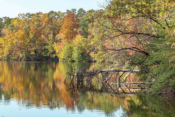 Reflection Wall Art featuring the photograph Lake Maury Reflection by Donna Twiford