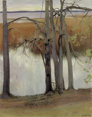 Eero Jarnefelt Painting - Lake Shore With Reeds by Eero Jarnefelt
