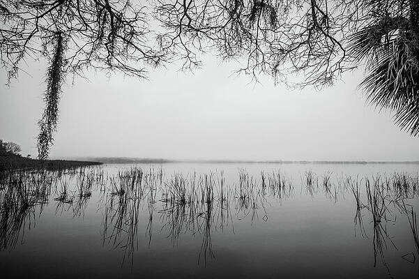 Landscape Photograph - Lake Tarpon by Joe Leone