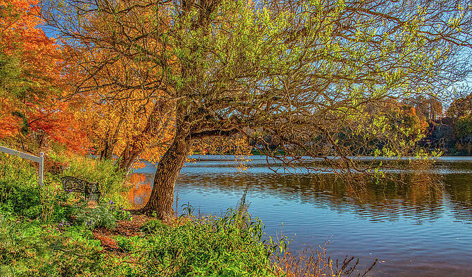 Vibrant Wall Art featuring the photograph Lake View From The Bench by Marcy Wielfaert
