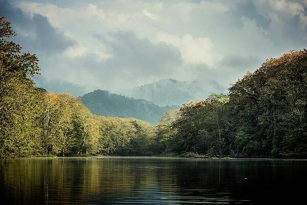 Tree Photograph - Lake Yojoa by Robert Grac