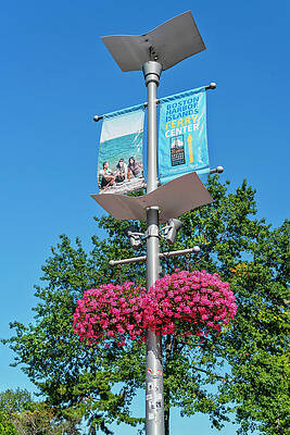 Lamp Wall Art featuring the digital art Lamp At Harborwalk, Boston, Ma by Laura Zeid