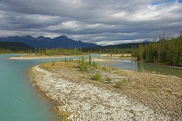 Landscape At Athabasca River, Jasper National Park, Rocky Mountains, Alberta, Canada Print