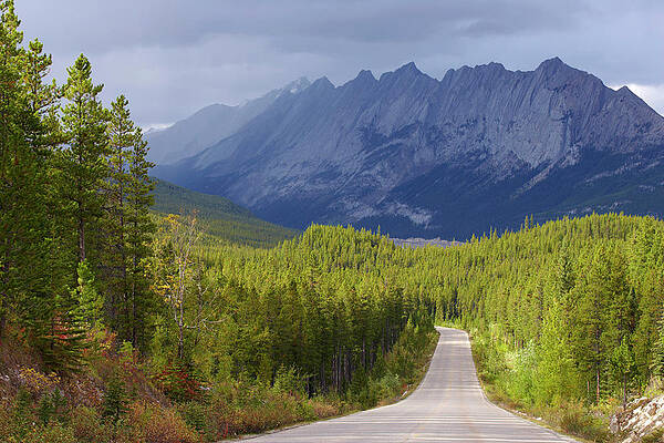 Landscape At Maligne River, Jasper National Park, Rocky Mountains, Alberta, Canada Print