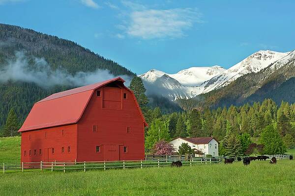 U S Wall Art featuring the digital art Landscape With Red Barn by Heeb Photos