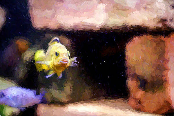 Wildlife Digital Art - Lemon Yellow Art by Don Northup