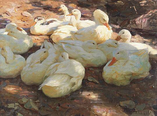 Flock Painting - Liegende Enten  Licht Und Schatten by Alexander Koester