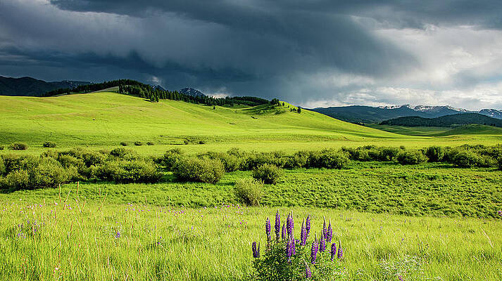 Country Photograph - Light And Landscape In Big Sky Country by Marcy Wielfaert