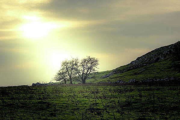 Sky Photograph - Lighting Up The Trees At Thorpe Cloud by Scott Lyons