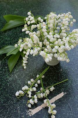 Lily Of The Valley In A Vase Print