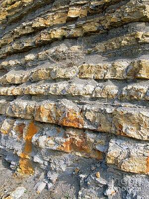 Shale Wall Art for Sale by Science Photo Library