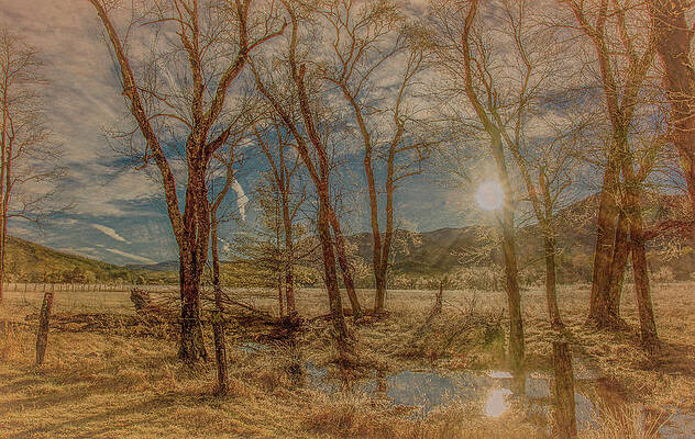 Cade Cove Photograph - Lines And Shadows Of A Winter Sunrise by Marcy Wielfaert
