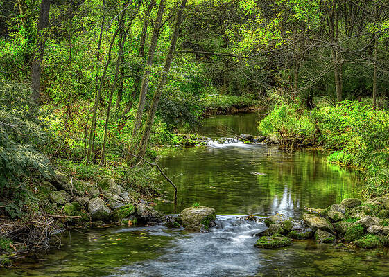 Nature Wall Art featuring the photograph Little Cedar Creek In Trexler Memorial Park by Jason Fink