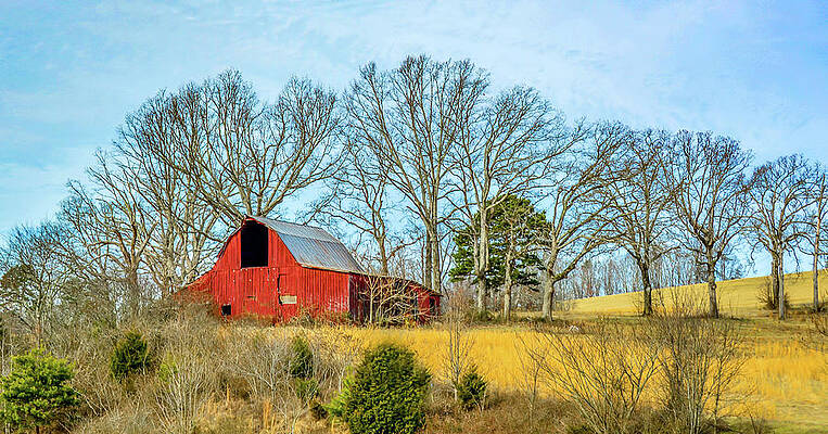 Serene Photograph - Little Red Barn by Marcy Wielfaert