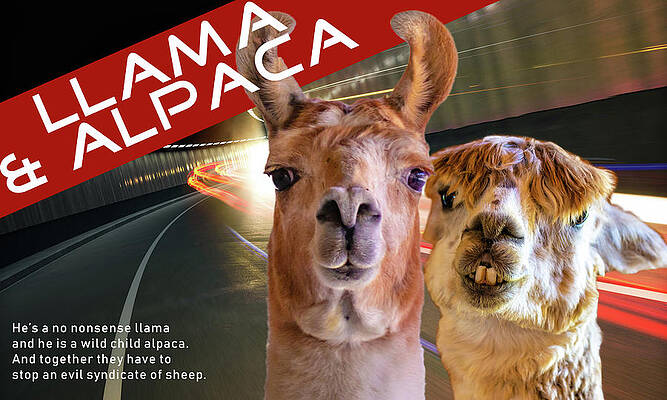 Funny Photograph - Llama And Alpaca by Jonny D